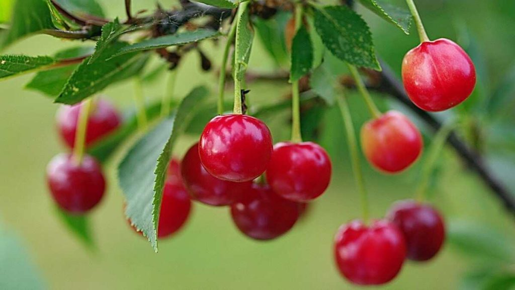 1 серпня 2020 року — яке свято сьогодні? Іменини