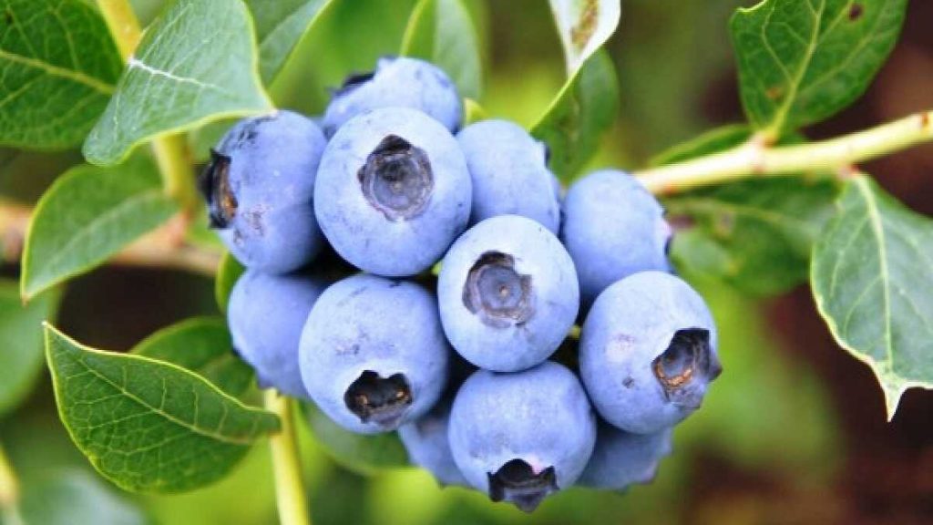 5 серпня 2020 року — яке свято сьогодні? Церковні свята